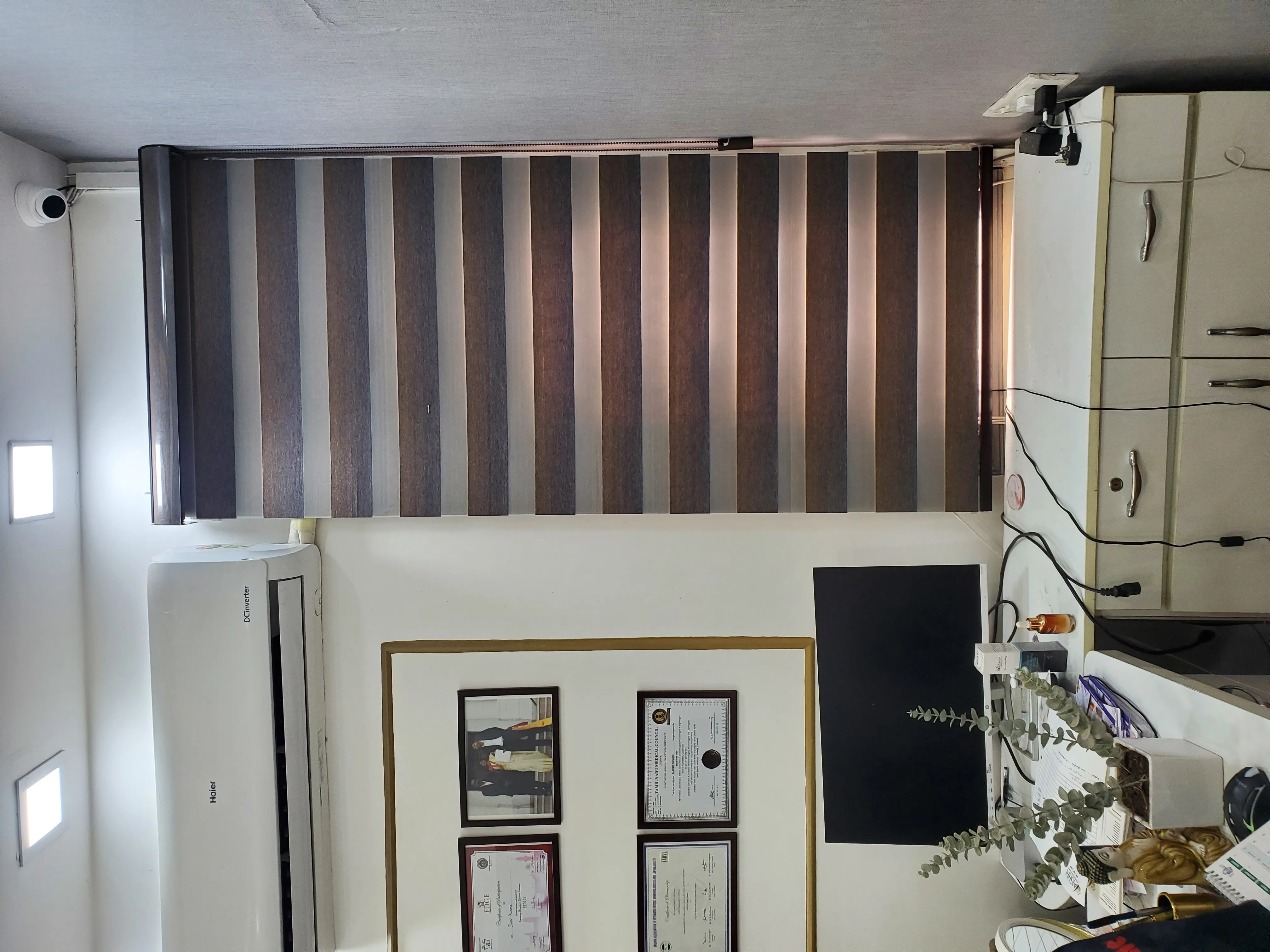 Zebra blind