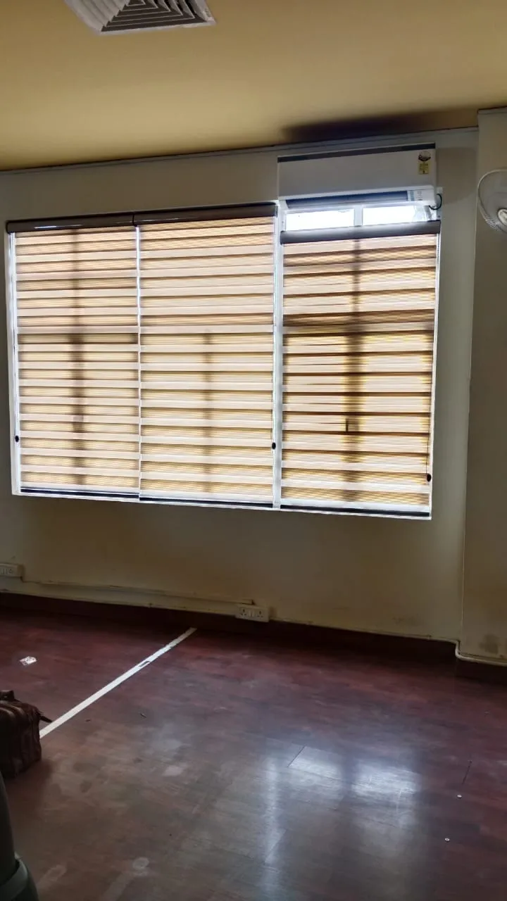 Zebra blind