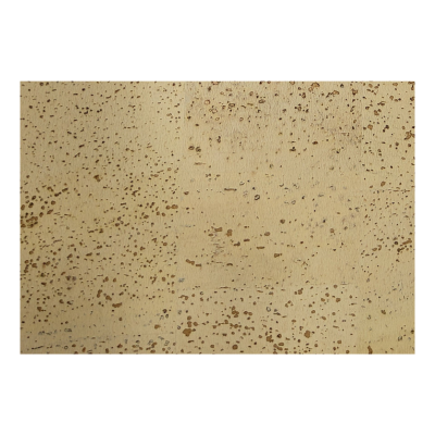 Wall ov w true conv+self-cleaning Adratt