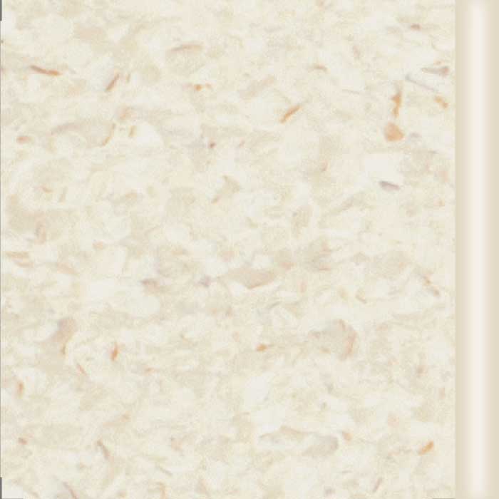 SMO 5207 Clam