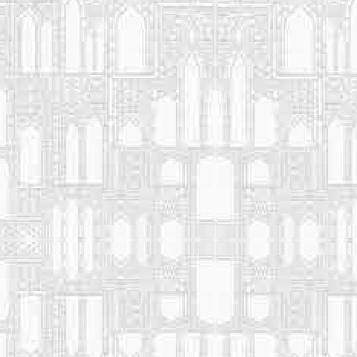 Wall ov w true conv+self-cleaning Adratt