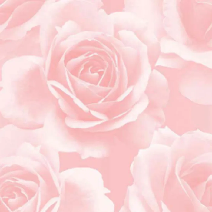 Stenna Economic Wallpaper For Walls - THE EIGHT VOL.1 2119-3