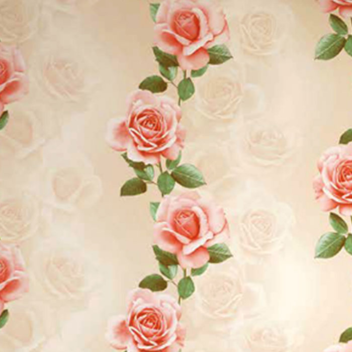 Wall ov w true conv+self-cleaning Adratt