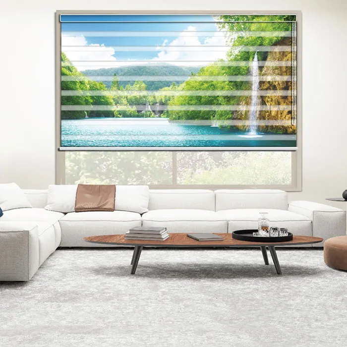 Spinn Decor Vol-1 PCS6060 | Customized Zebra Window Blind