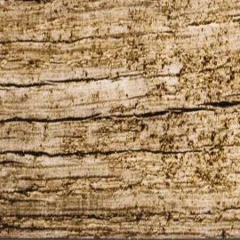 Livin Wooden Blinds For Windows | Hemlock Wood NW 5042 Hazel