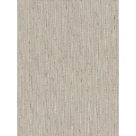 Ad Zebra Blinds For Windows | Appex Beige