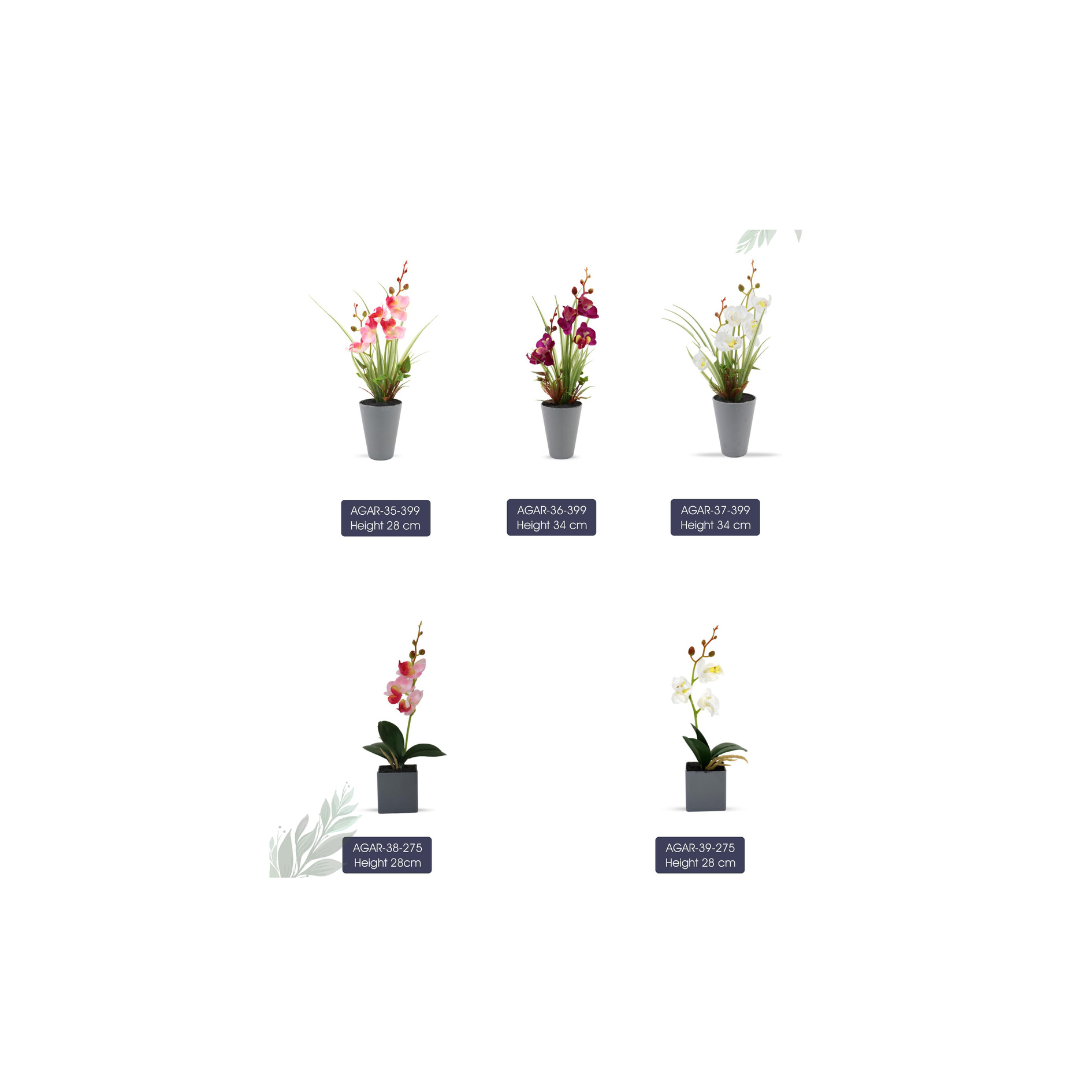 Wall ov w true conv+self-cleaning Adratt