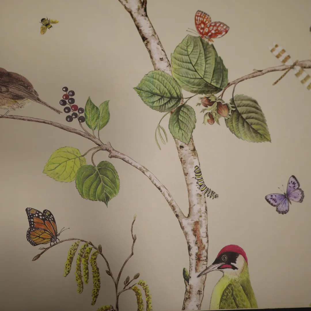 Elegant Sanderson Wallpapers - Timeless Designs for Every Room