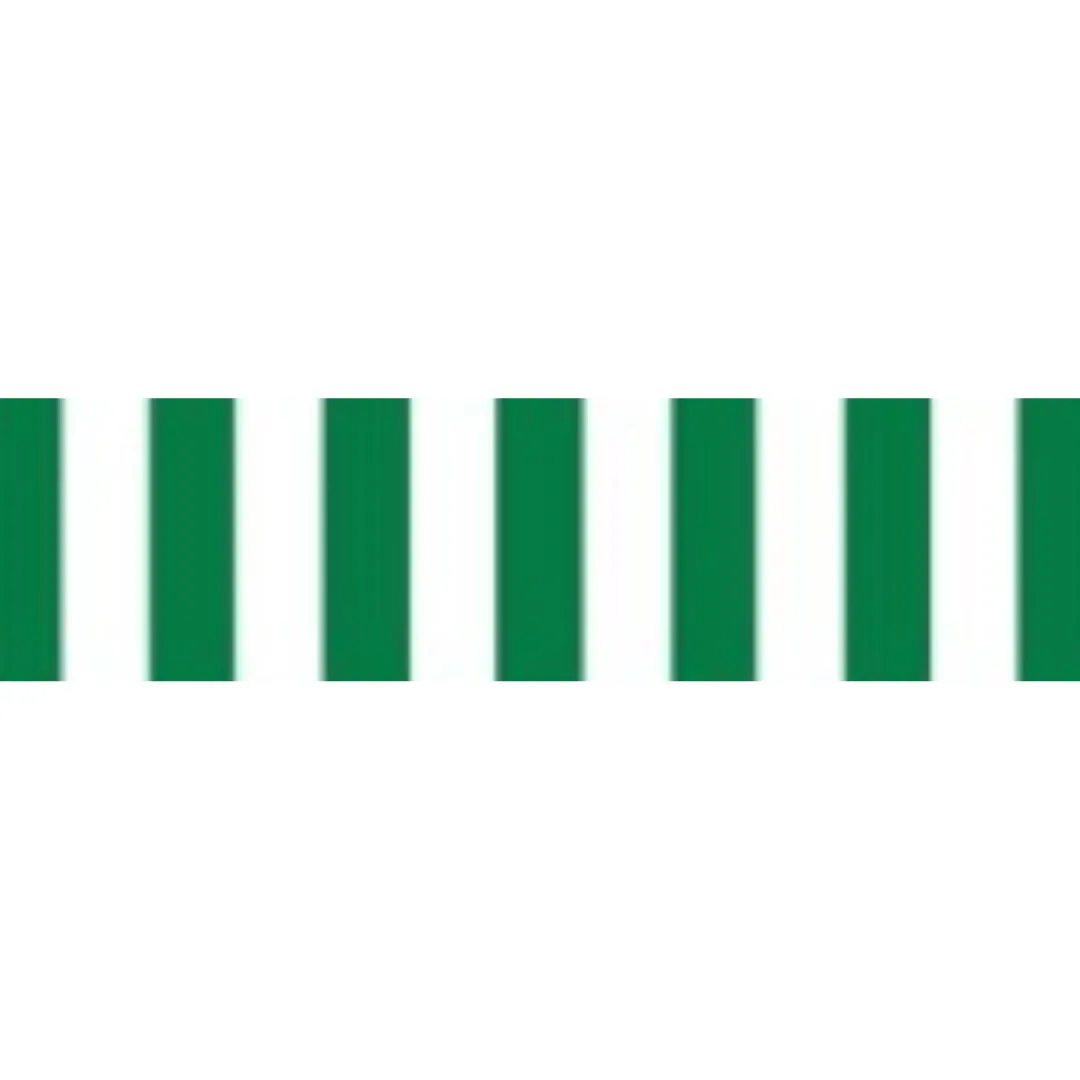 Green White C-903 PVC Awning - Stylish and Durable Outdoor Shade Solution