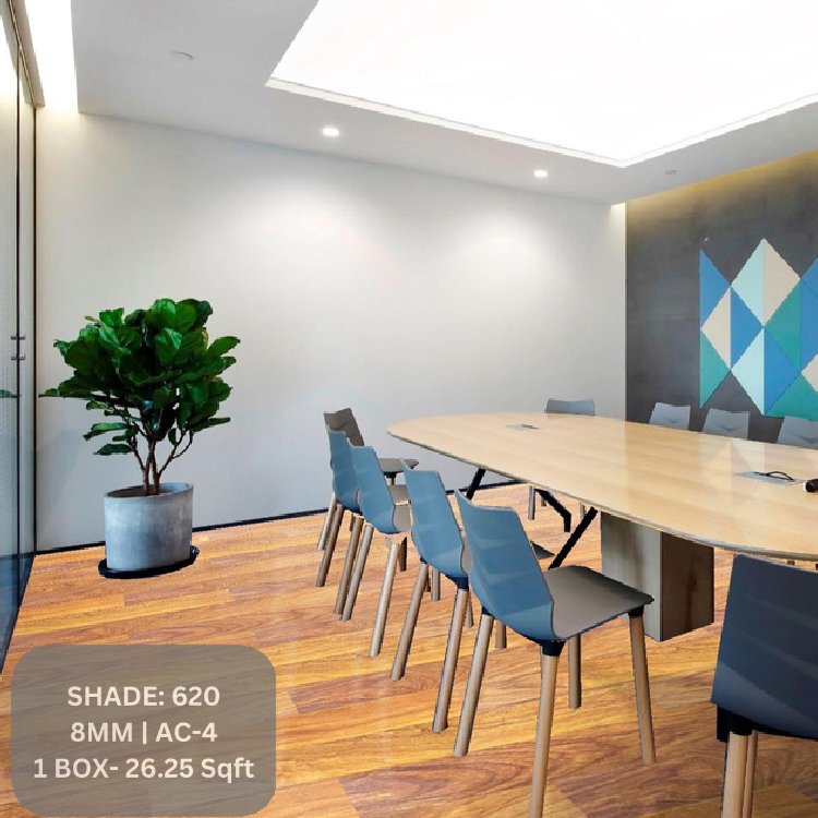 Wall ov w true conv+self-cleaning Adratt