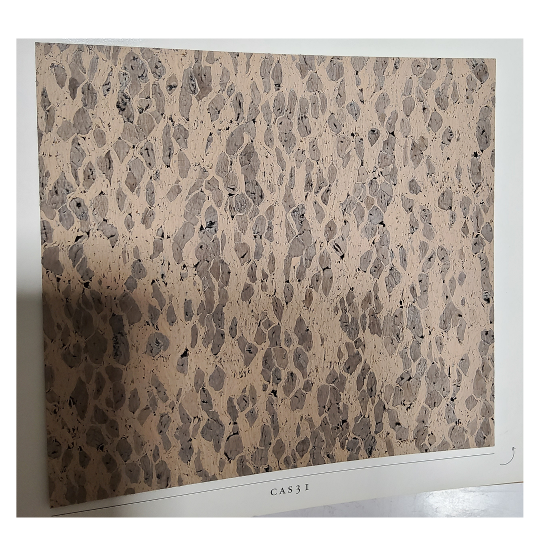 Wall ov w true conv+self-cleaning Adratt