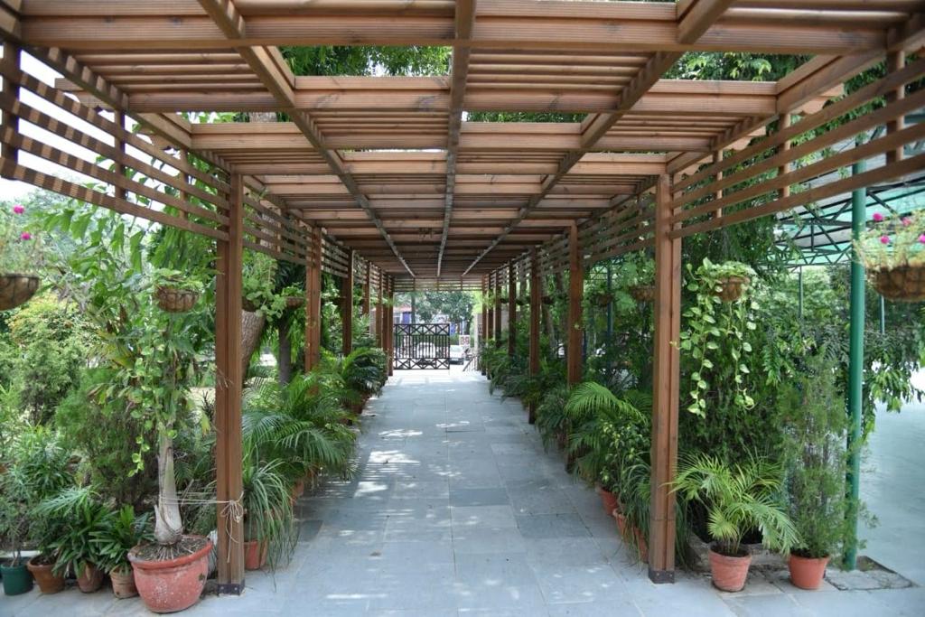 Durable 09 Pergola for Outdoor Comfort