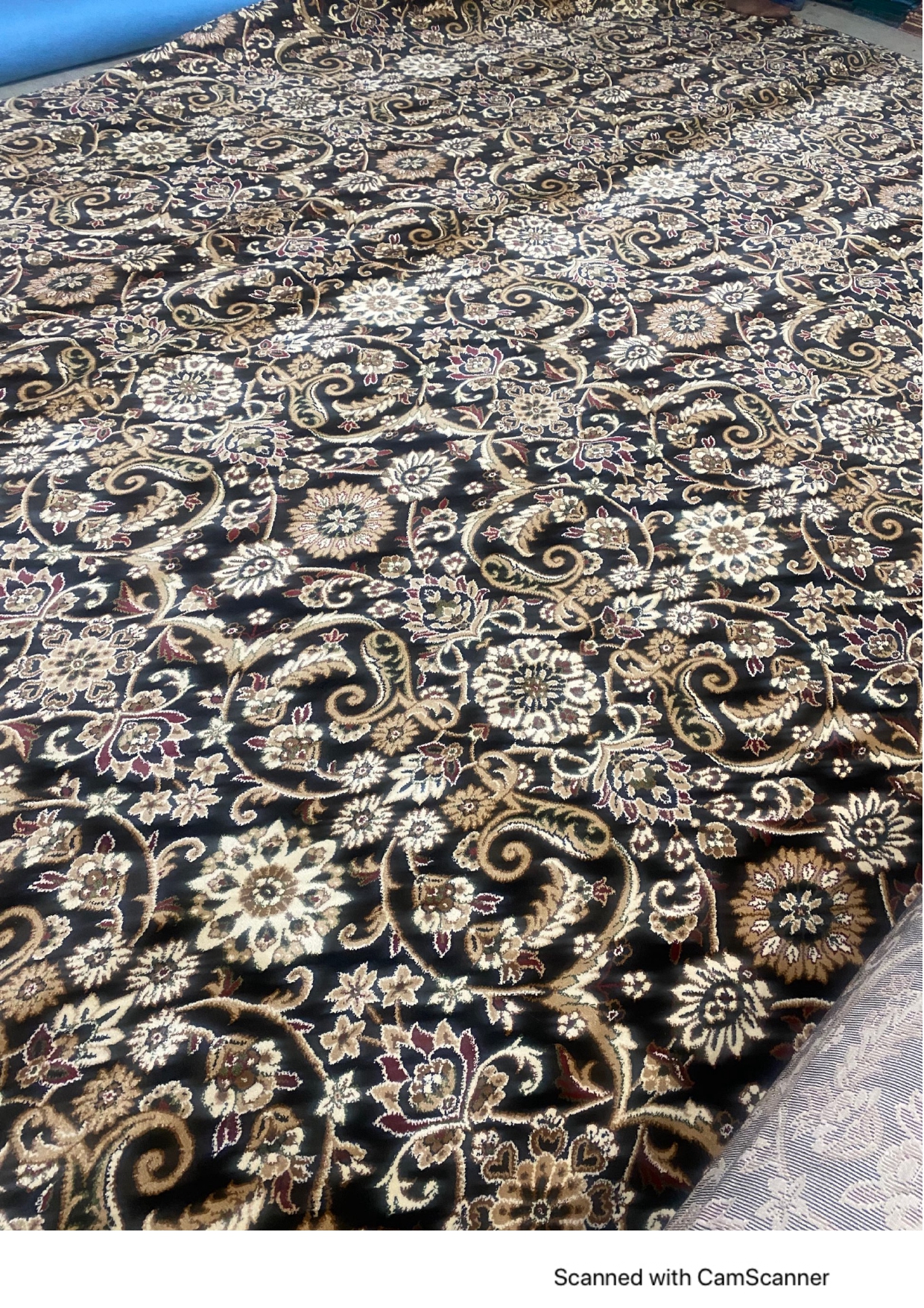 Splash Heat Set Carpets - Stylish & Durable