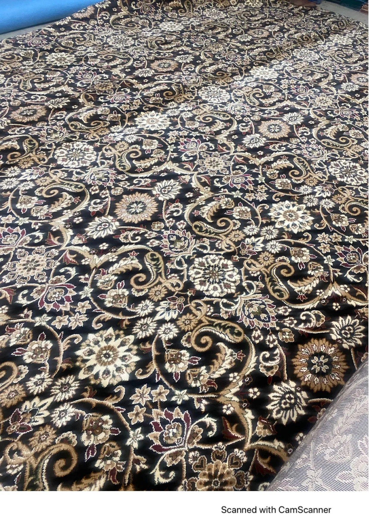 Splash Heat Set Carpets - Stylish & Durable