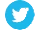Twitter Icon